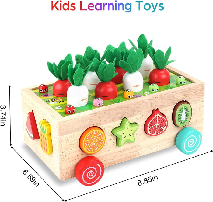 Toddlers Montessori Wooden Toys