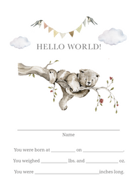 Baby Bundles: Beyond Measure #1 (Take Home Box) - Newborn Boy - Includes 5 YR Memory Book
