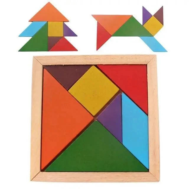 Wooden Magnetic Maze